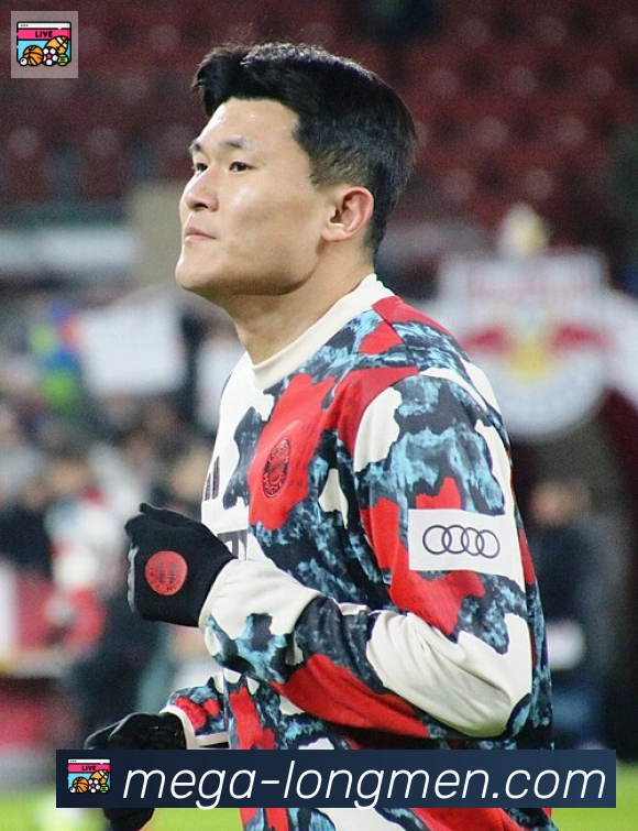 维尼修斯